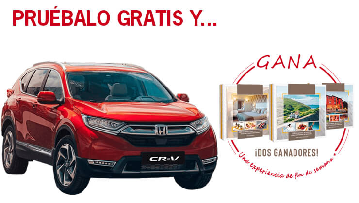 Honda CR-V 2019 Bizkaia