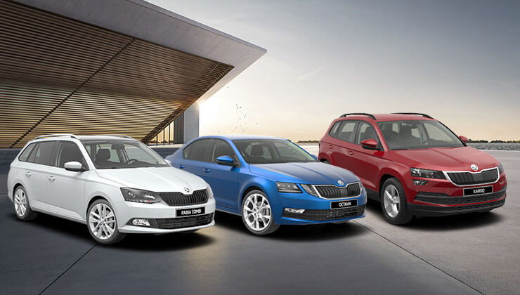 Plan Renove 2019 Euskadi Skoda