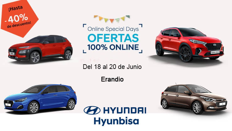 Hyundai Hyunbisa Special Days