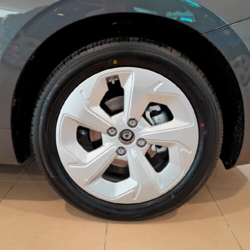 79559-Gris_3.jpg